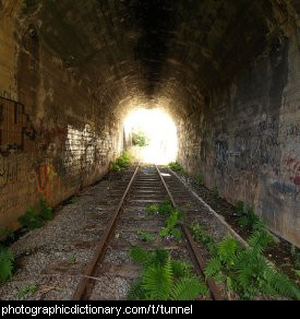 Photo of a tunnel