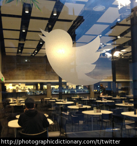 Photo of the twitter logo