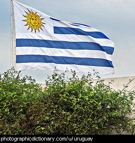 Photo of the Uruguay flag