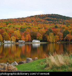 Photo of fall foliage in Vermont