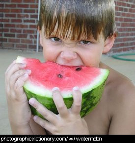 Photo of a boy eating a watermelon