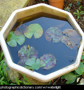 Photo of a container of water