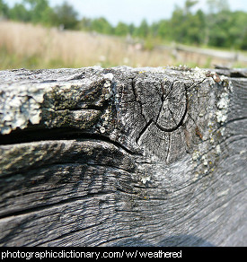 Photo of weathered wood