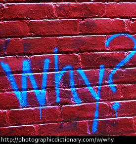 Photo of the word why in graffiti