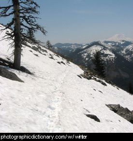 Photo of winter snow.