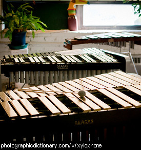 Photo of a xylophone.