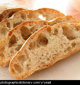 Photo of yeasty bread.