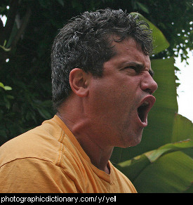 Photo of a man yelling