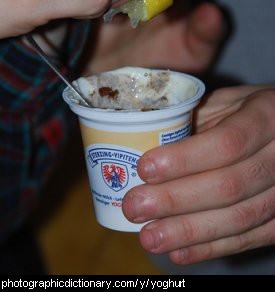 Photo of yoghurt