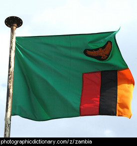 Photo of the Zambian flag