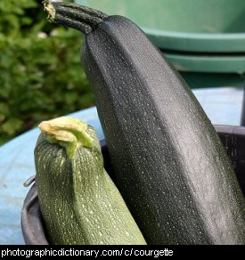 Photo of courgettes
