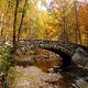 Photo of a bridge