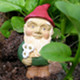 Photo of a gnome.