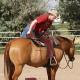 Photo of a man mounting a horse