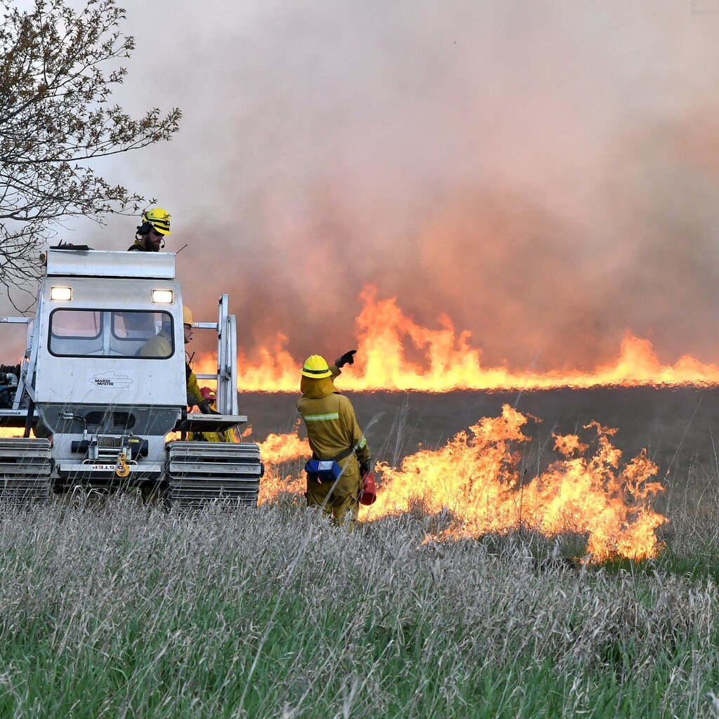 Photo of a controlled burn