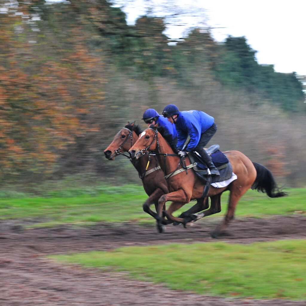 Photo of two horses racing