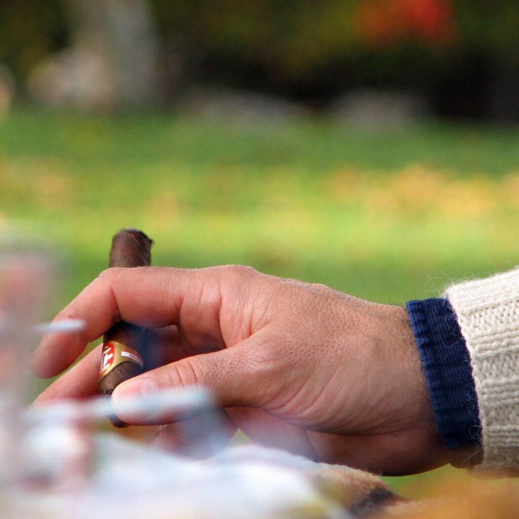 Photo of a hand holding a cigar